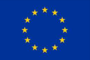 Eu flag